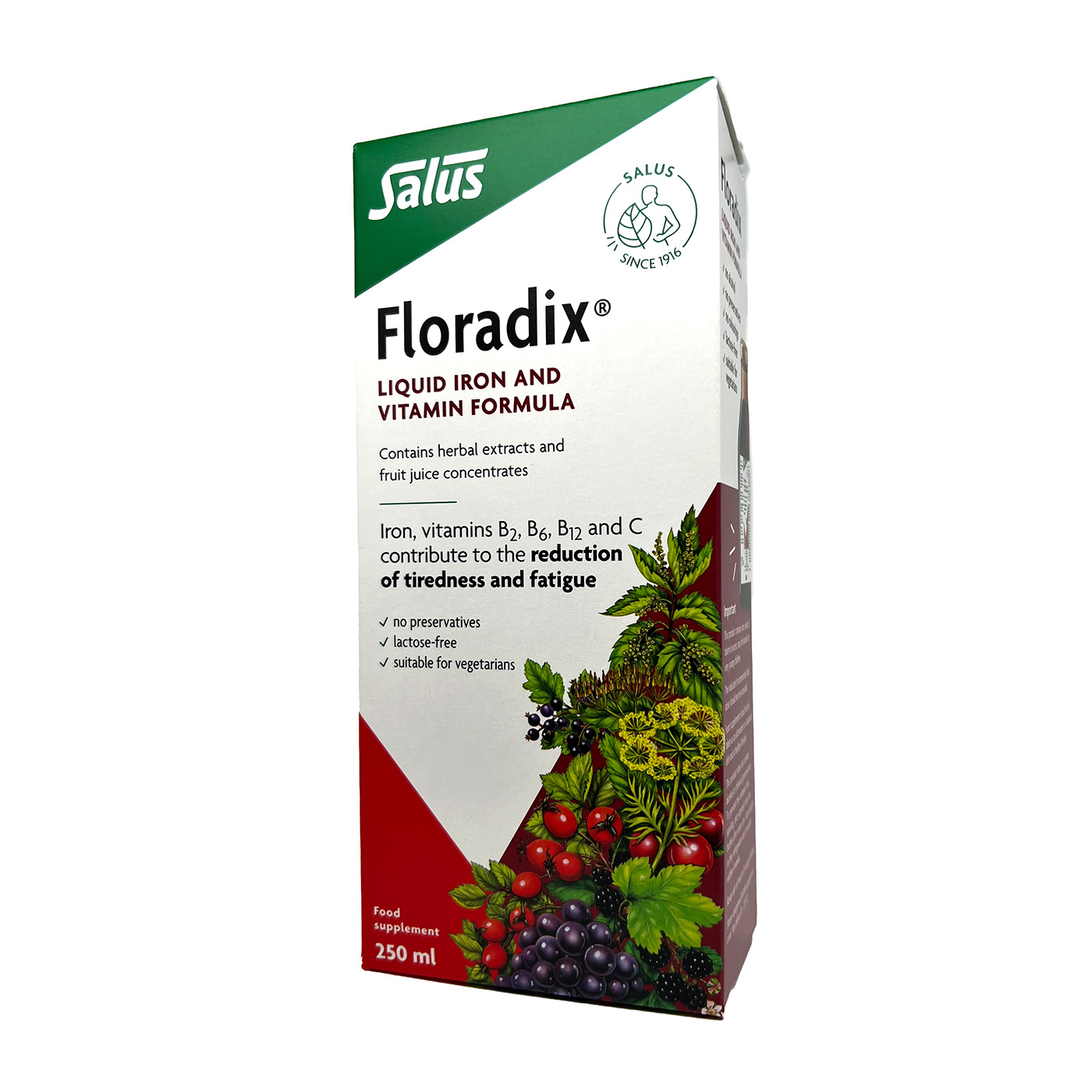 Floradix DZELZS 250ml